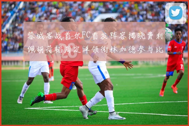蓉城客战首尔FC首发阵容揭晓费利佩胡荷韬周定洋领衔林加德参与比赛