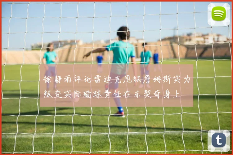 徐静雨评论雷迪克甩锅詹姆斯实为叛变实际输球责任在东契奇身上